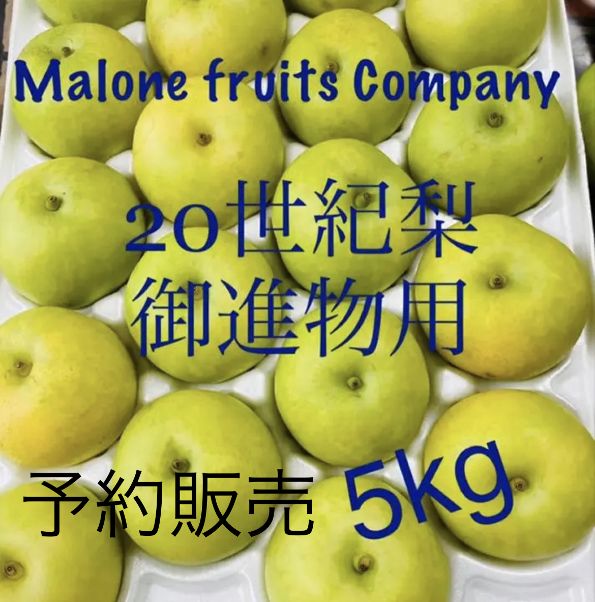 御進物用 20世紀梨 5kg ・12玉〜18玉 - Malone Company マロン