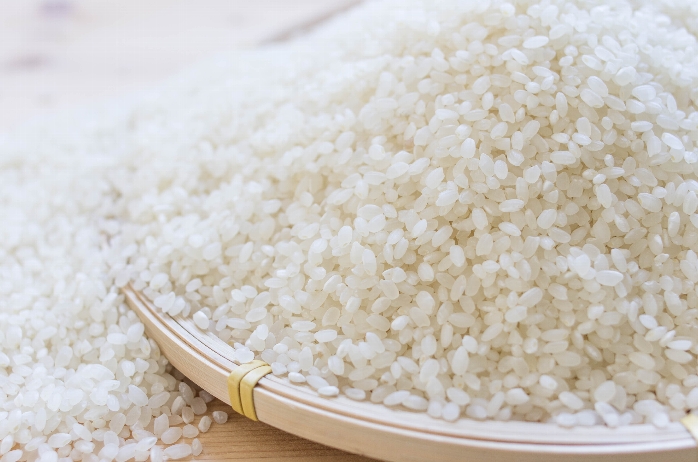 新米 R5年産 特別栽培米 さくら姫米（5kg） - 米蔵砂川屋：とっとり市
