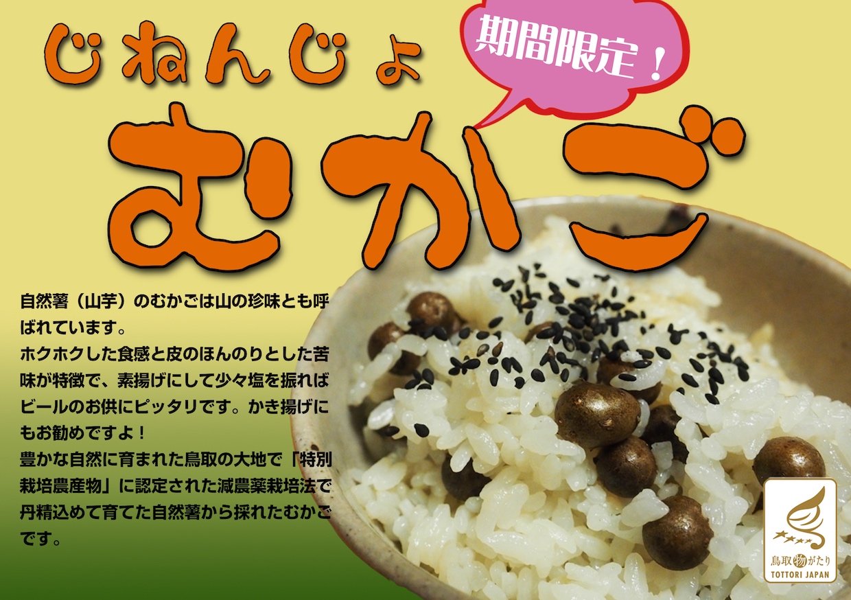 むかご２００ｇ （自然薯）ハートパッケージ - いなば山彩の郷：とっとり市（いち）- 20世紀梨・松葉ガニ・鳥取市の特産品通販