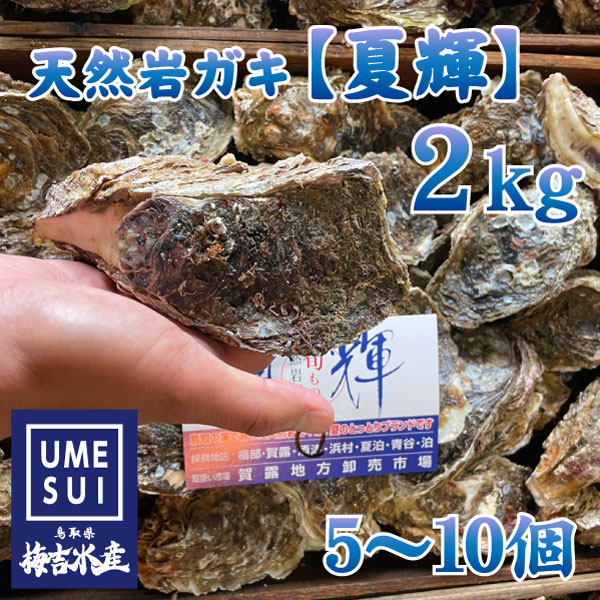 夏輝2kg