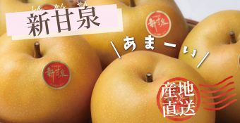 新甘泉は鳥取オリジナルの梨です