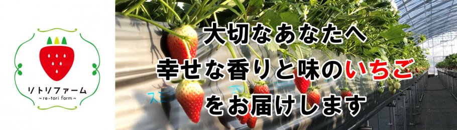 鳥取県の美味しいいちご「とっておき」「章姫」を提供しています！リトリファーム