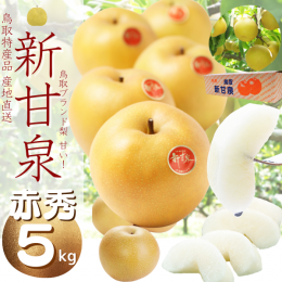 ご予約商品」新甘泉梨 （赤秀）５ｋｇ「８月下旬〜９月上旬・ご注文順発送」 - いまる：とっとり市（いち）- 20世紀梨・松葉ガニ・鳥取市の特産品通販