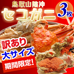 ご予約 セコガニ 訳あり 大サイズ140 170 G ３枚 いまる とっとり市 いち 世紀梨 松葉ガニ 鳥取市の特産品通販