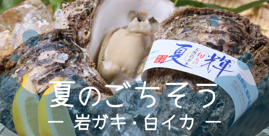 鳥取の夏の味覚といえば岩がき白イカ とっとり市 いち 世紀梨 松葉ガニ 鳥取市の特産品通販